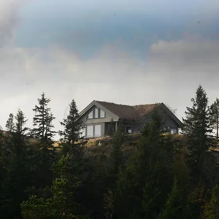 Ski In-Out At Lifjell-Mountain Cabin With Majestic Views Close To Bo Sommarand Bo (Telemark) Exterior foto