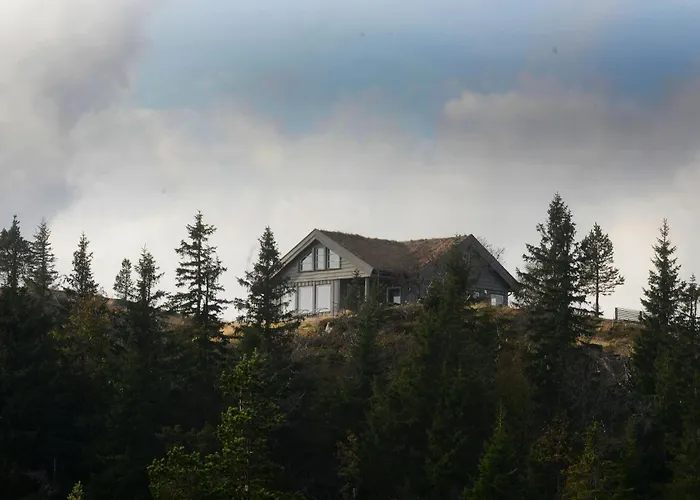 Ski In-Out At Lifjell-Mountain Cabin With Majestic Views Close To Bo Sommarand