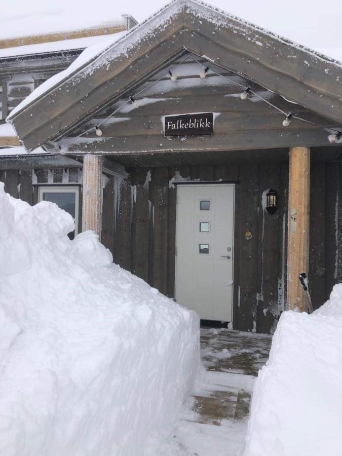 Holiday home In-out At Lifjell-mountain With Majestic Views Close To Bo Sommarand Bo (Telemark)