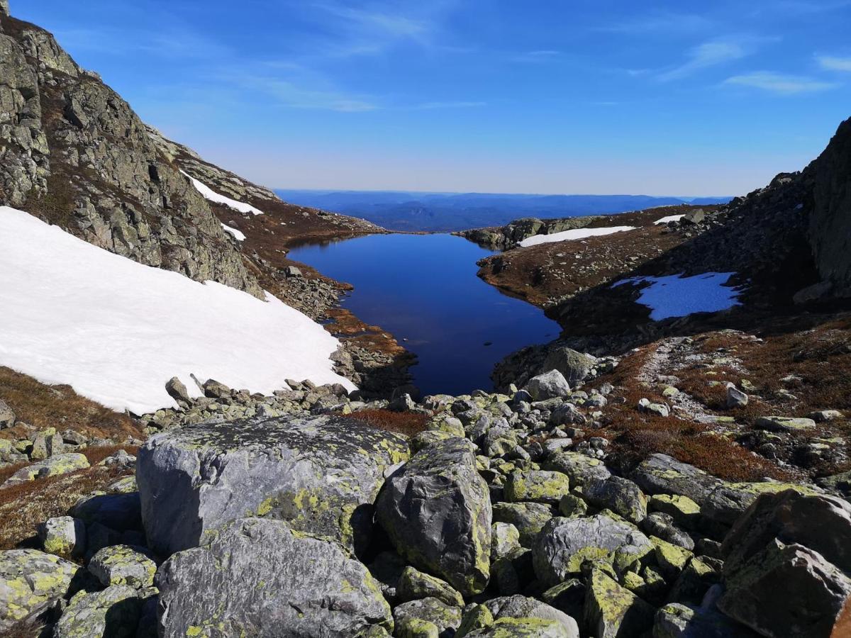 In-out At Lifjell-mountain With Majestic Views Close To Bo Sommarand Holiday home Bo (Telemark)