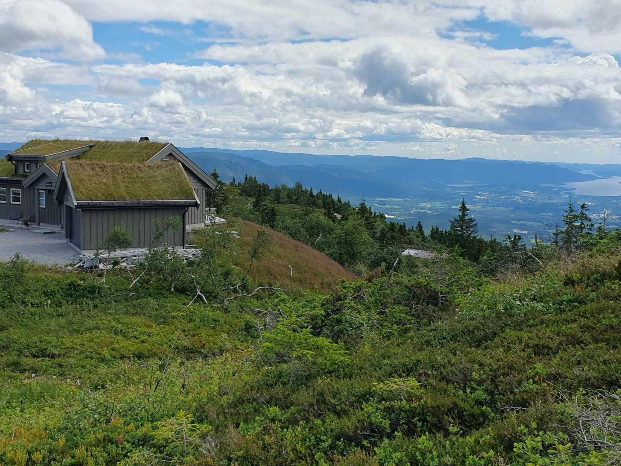 In-out At Lifjell-mountain With Majestic Views Close To Bo Sommarand Holiday home *