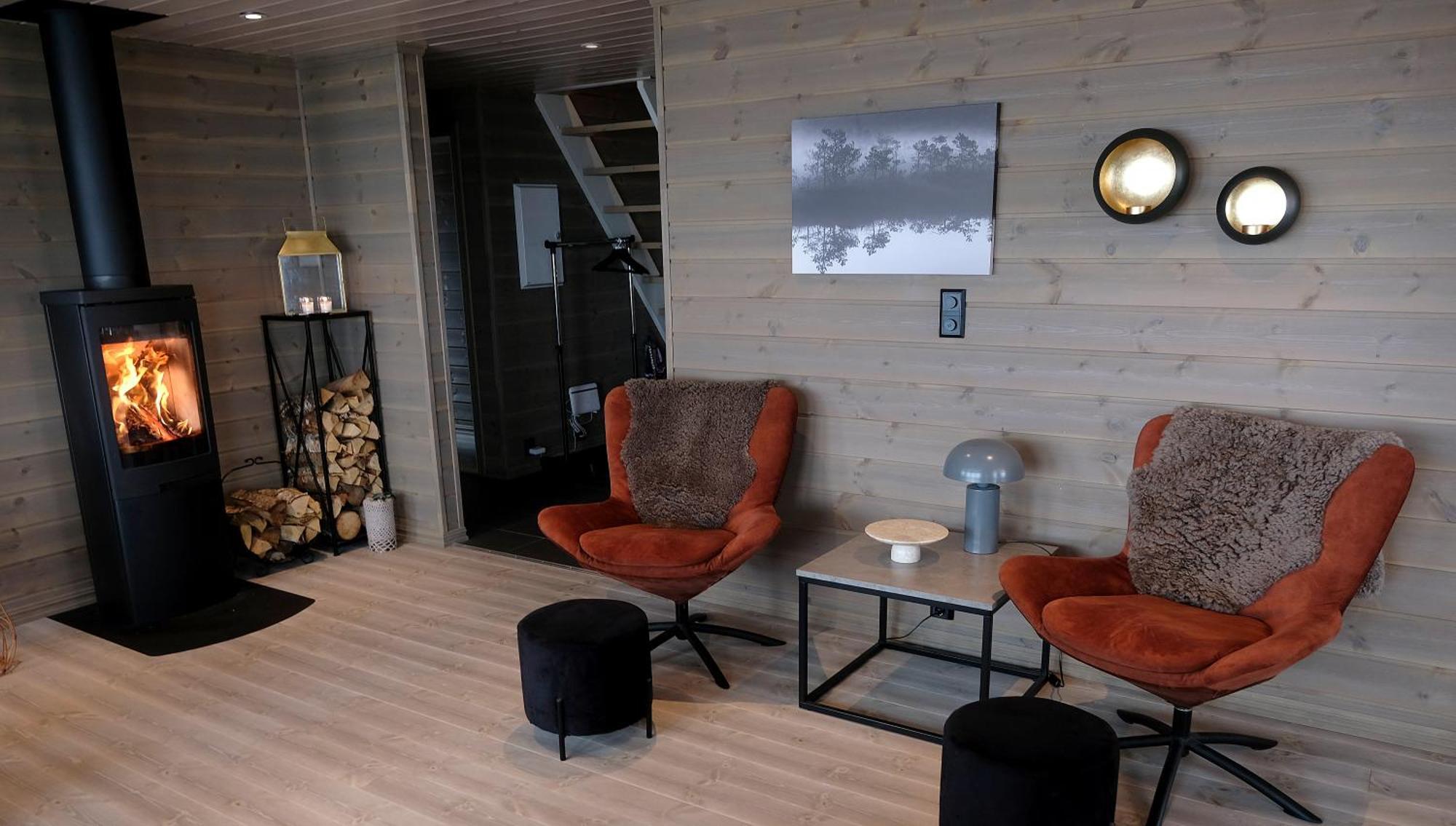 In-out At Lifjell-mountain With Majestic Views Close To Bo Sommarand Holiday home